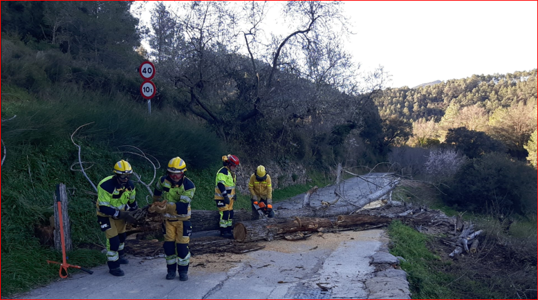 👩‍🚒Jornada intensa d'actuacions en el servei de #BombersForestals de la <a href="/generalitat/">Generalitat</a>  a causa del temporal de vents en la Comunitat Valenciana.

🌳Les imatges mostren com les unitats de Chelva, Montán, Benlloch, Ayódar, Sant Mateu i Jérica treballen en la retirada d'arbres caiguts