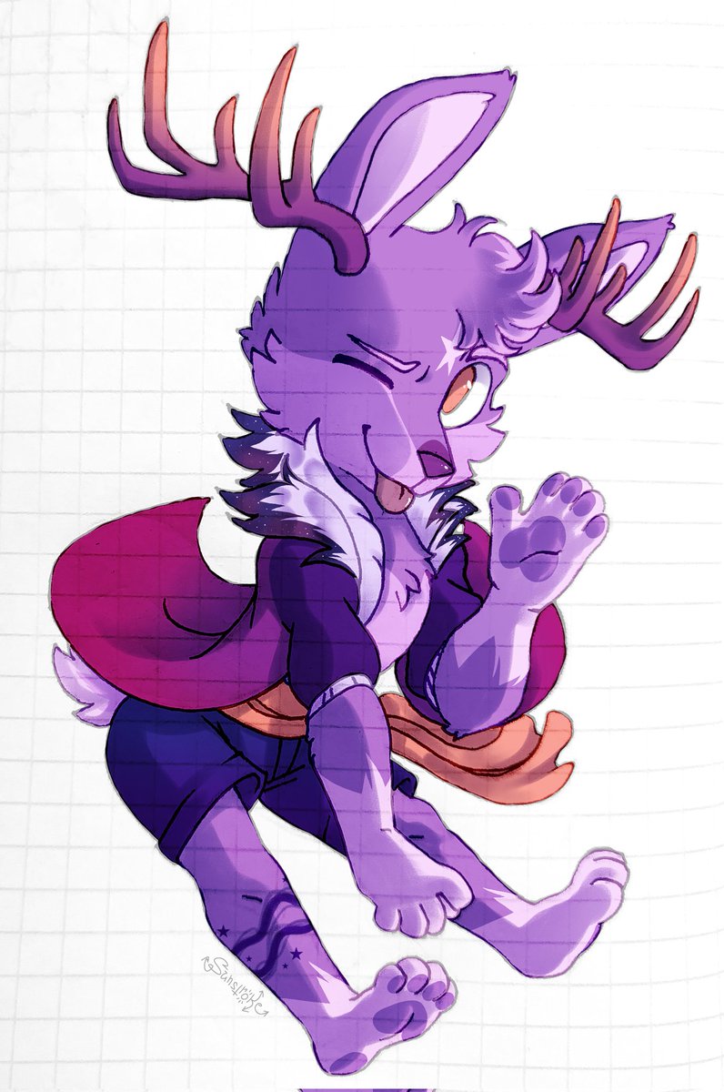 Wonder Stellabyte tweet media