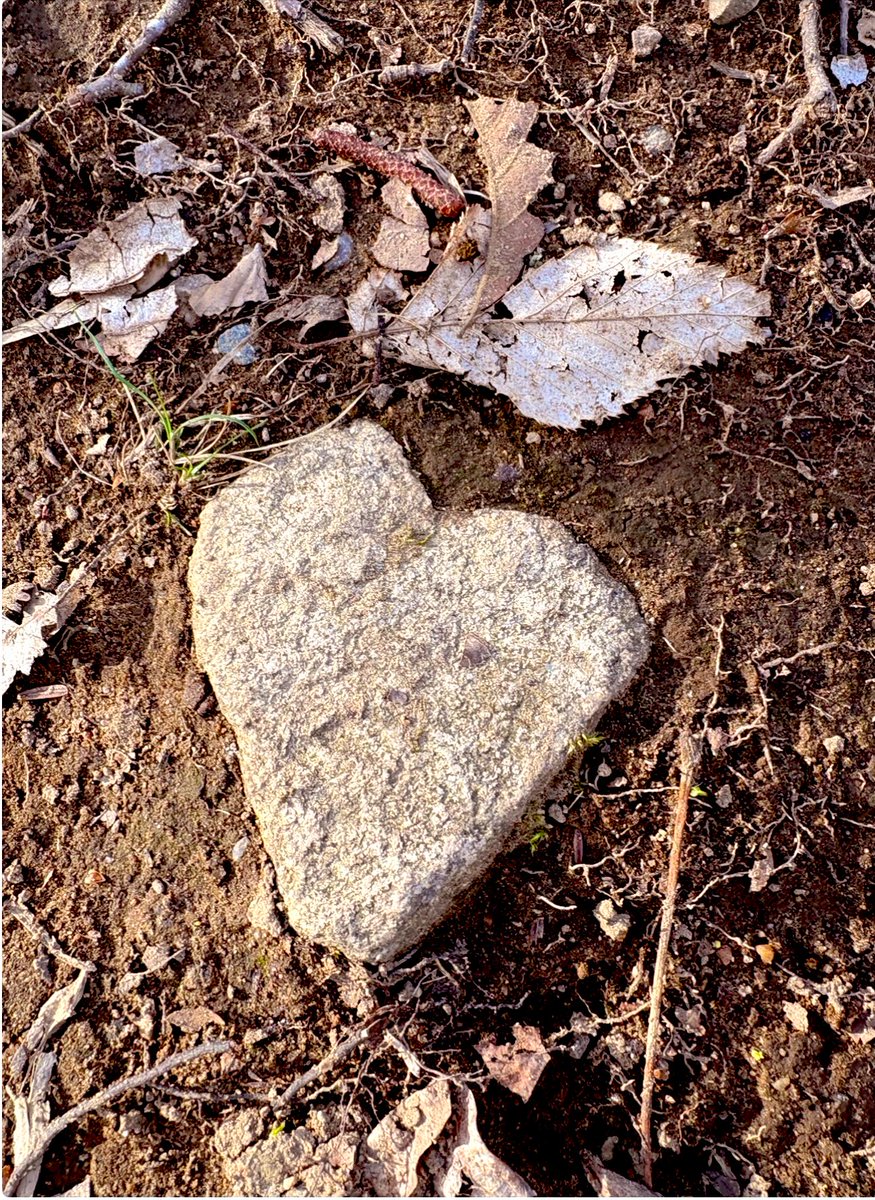 🌻 (@snflower500) on Twitter photo 