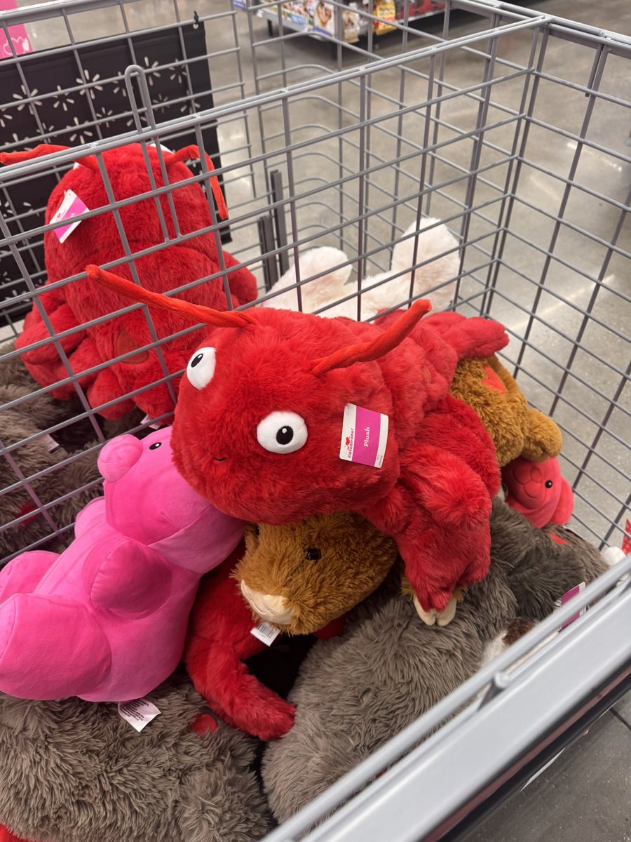 The Molt’s already got they
Plushies on the market