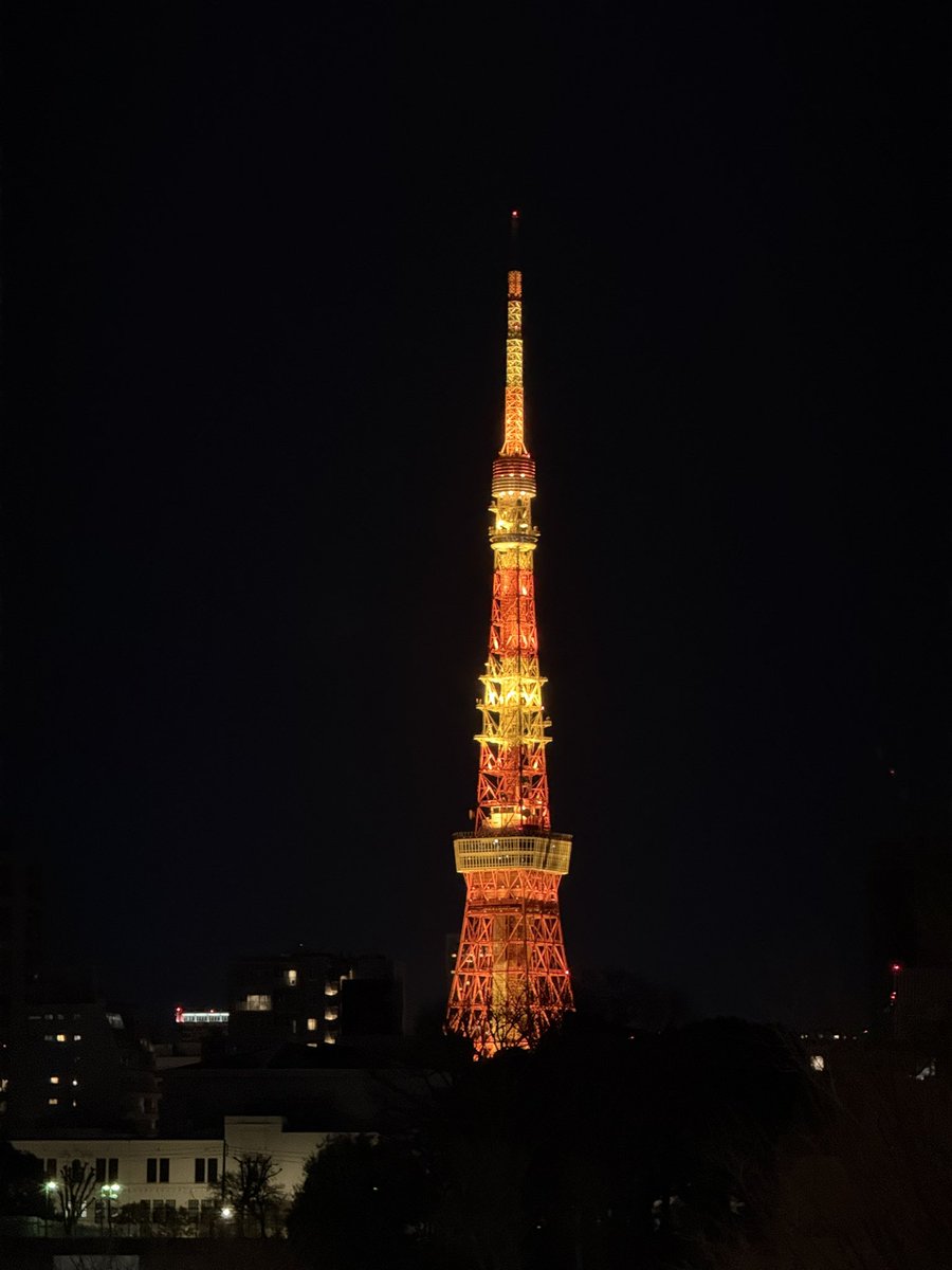 롯폰기 일루미네이션 예쁨 ✨