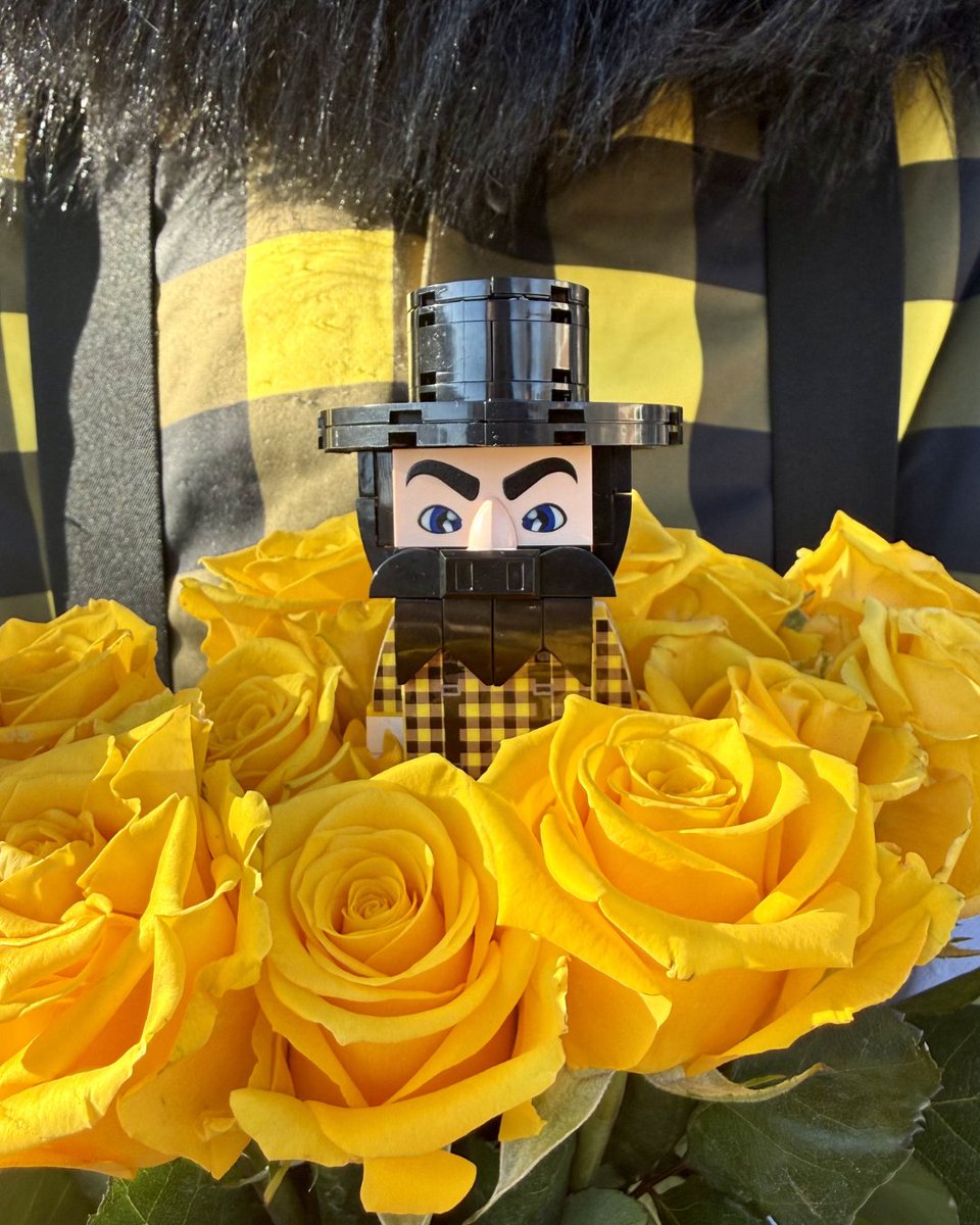 Appalachian Alumni tweet media