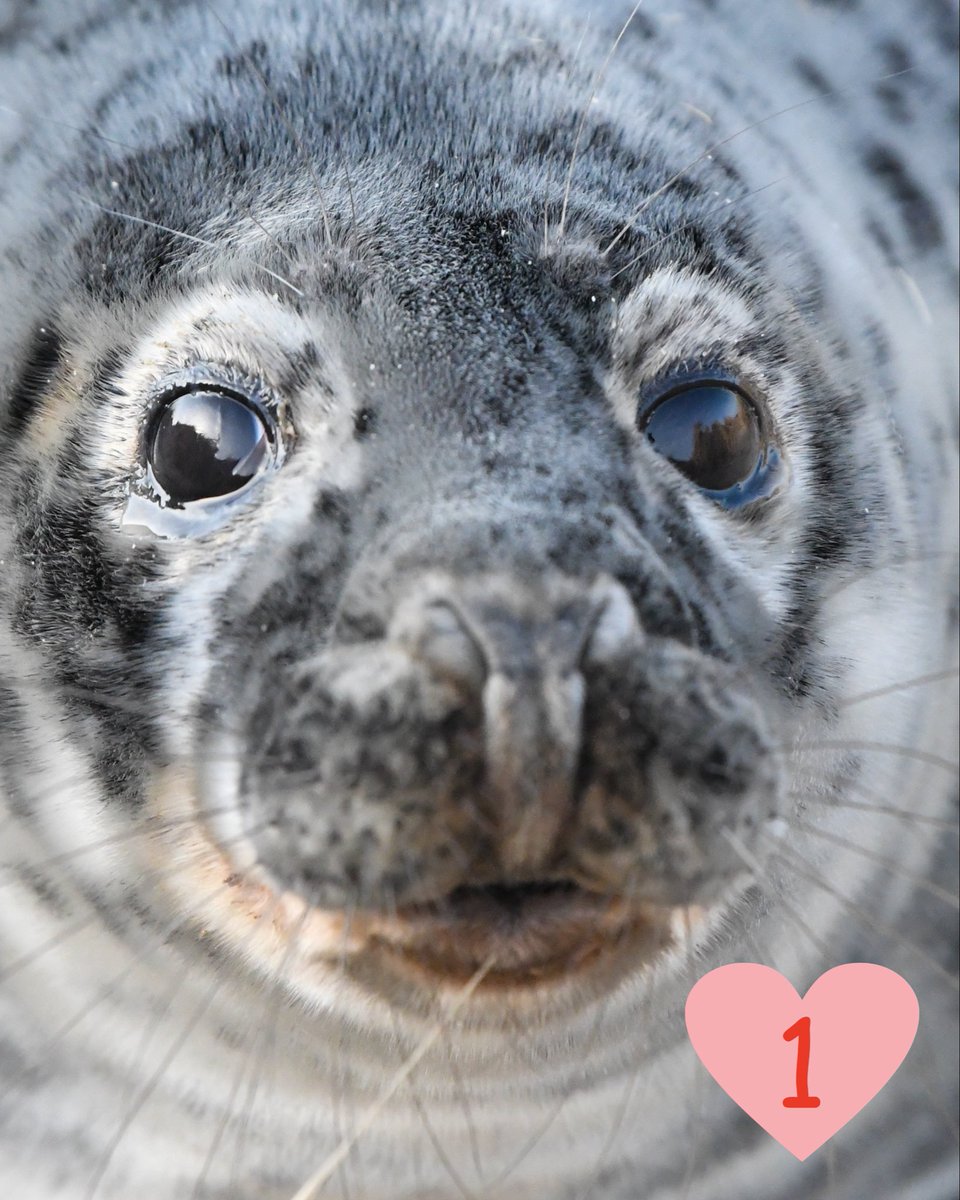 Changing Seas tweet media