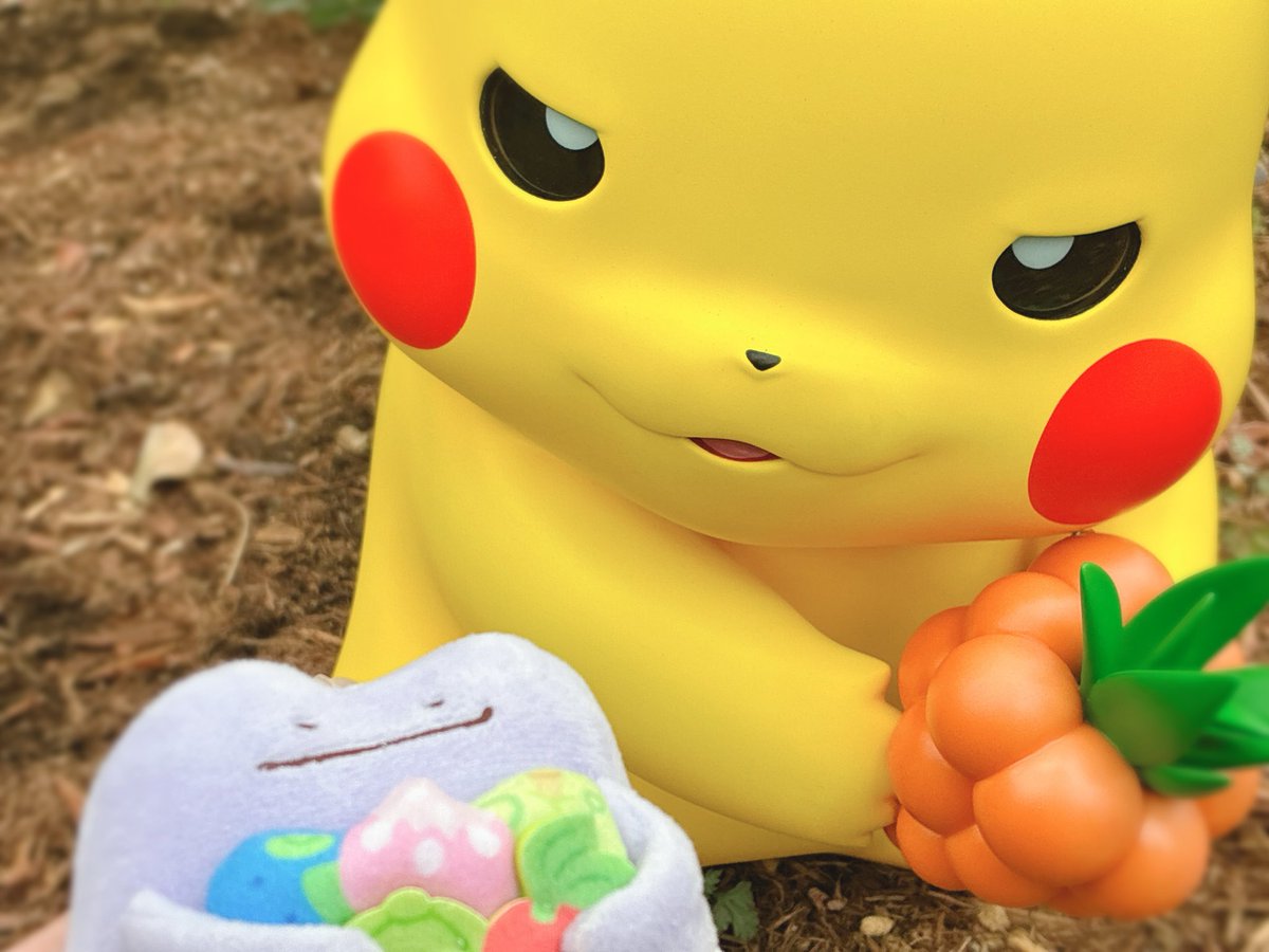 お主もわるよのぅ…みたいなピカチュウとずぶといメタモン #ポケパーク