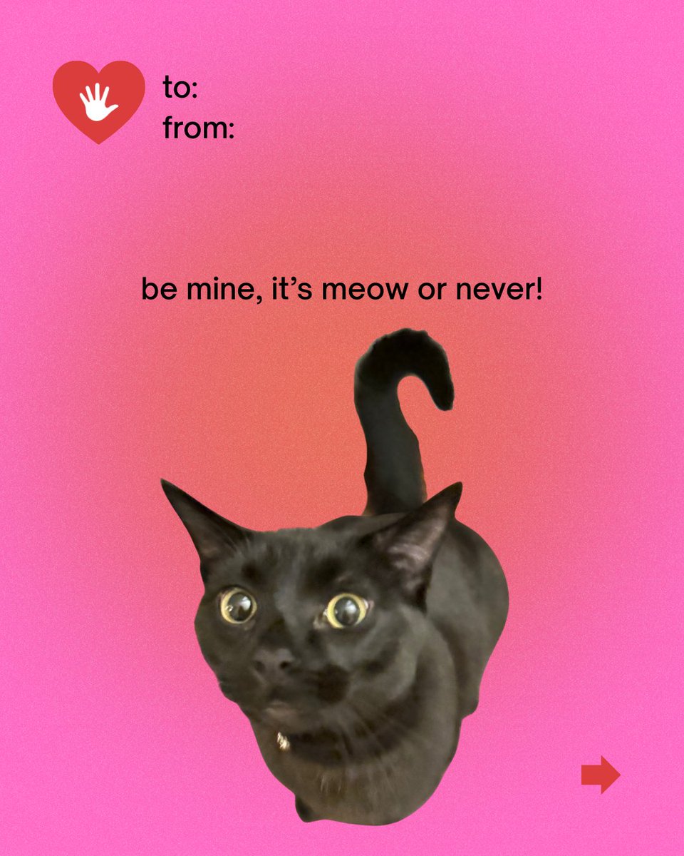 High Five Media tweet media