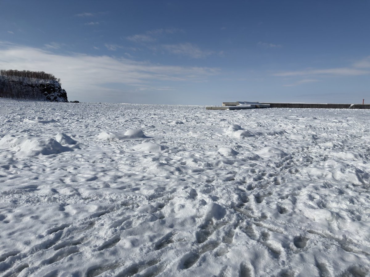 たっぷ tweet media