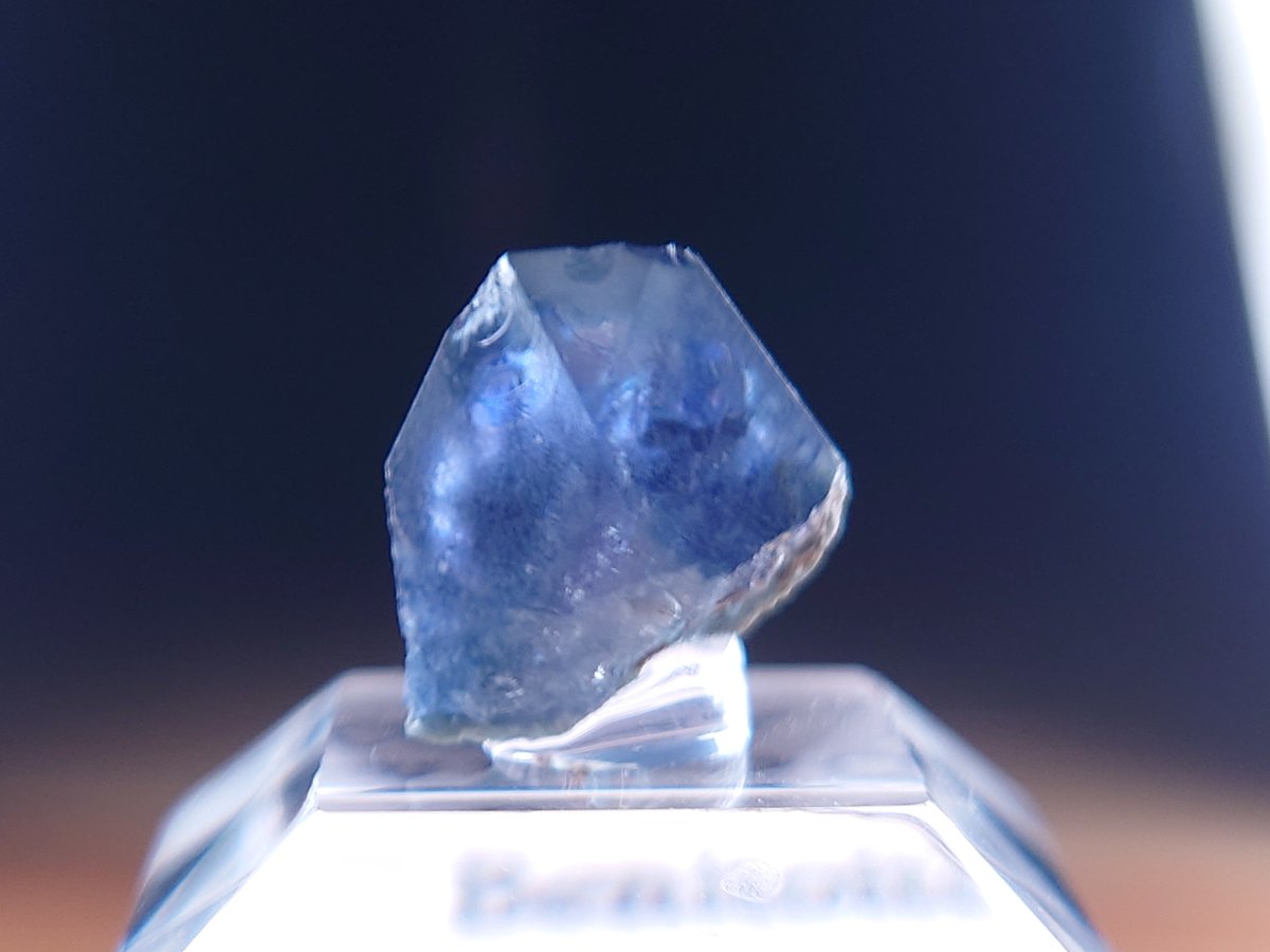 ゆきとの巡る日常 tweet media