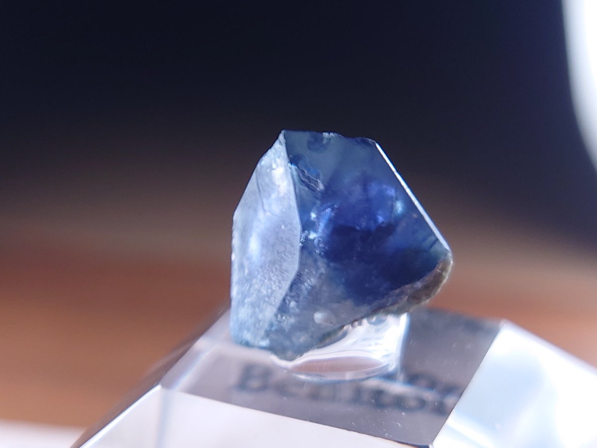 ゆきとの巡る日常 tweet media