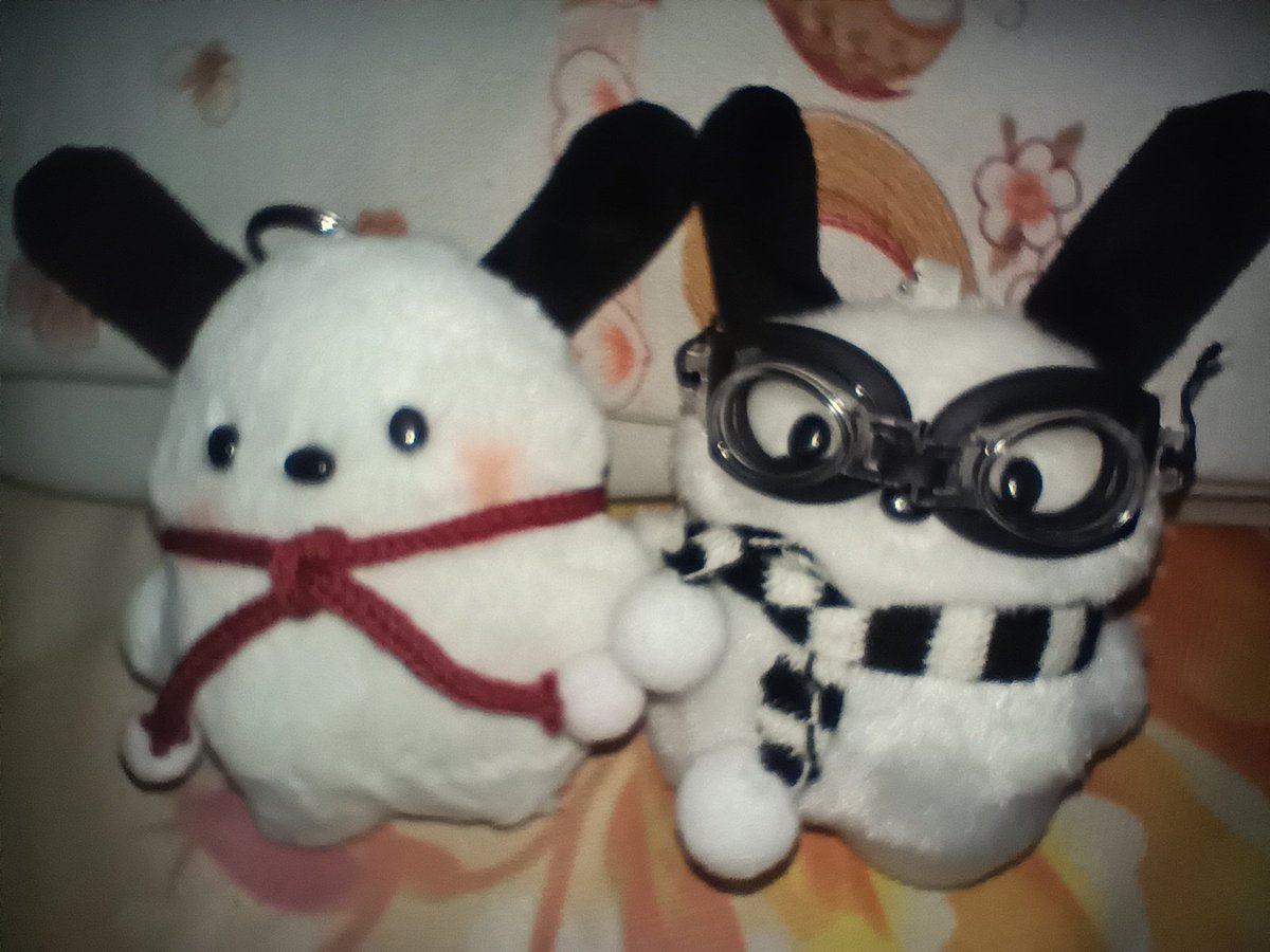 Happy Valentines Day! ✨🤭 My baby got me pochacco dolls and they lowkey look like tfo in Shanghai and it also reminds me of us!  😭💚🩷