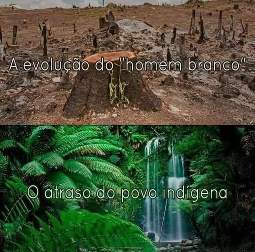 "Quando a última árvore for derrubada, o último peixe for pescado e o último rio for envenenado, nós perceberemos que não podemos comer dinheiro".
             
            "Profecia indígena americana"

Isso é compreender a necessidade das demarcações das terras indígenas.