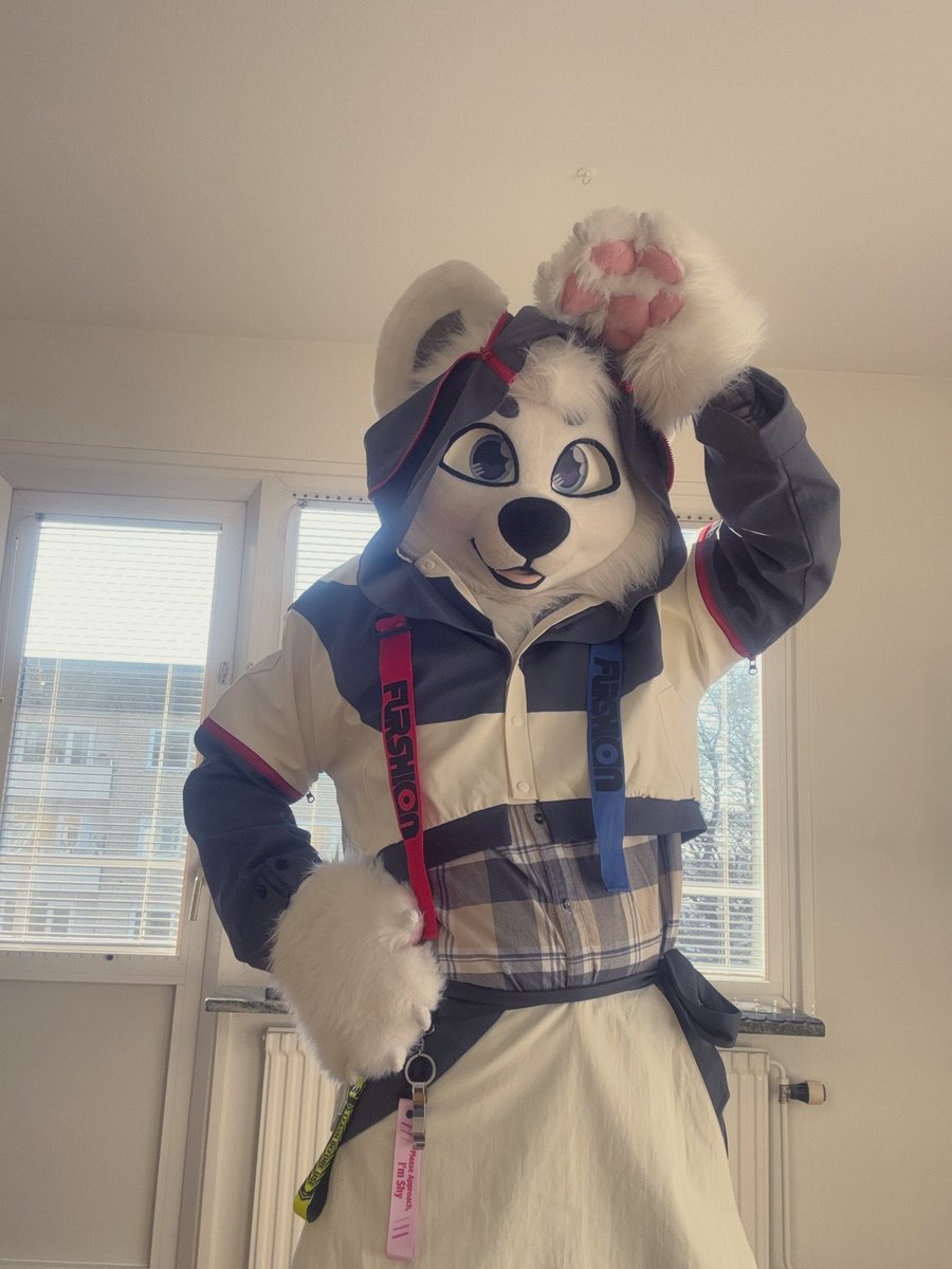 WolframLiu 一条欢 🔜 Pawske tweet media