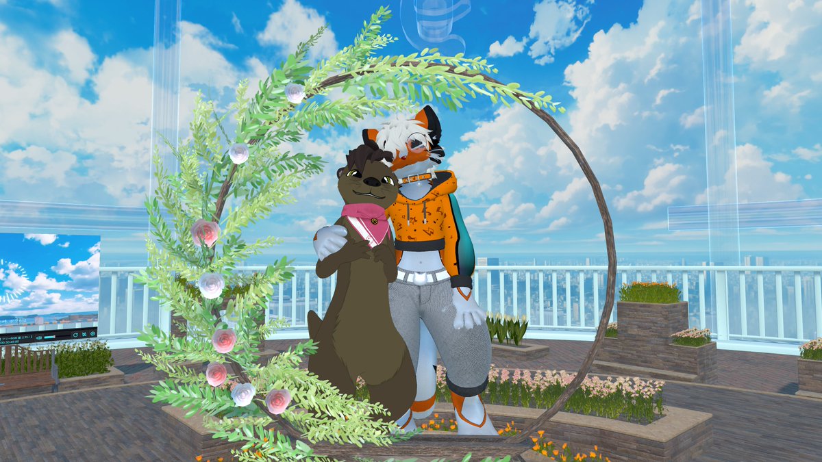 Lycos 🐾 tweet media