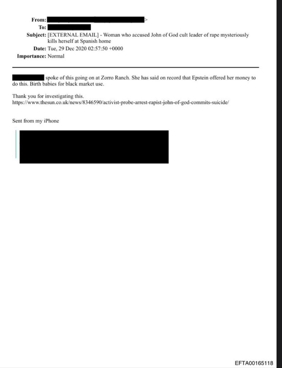 thematrixb0t's tweet image. Epstein File document references “Birth babies for black market use”