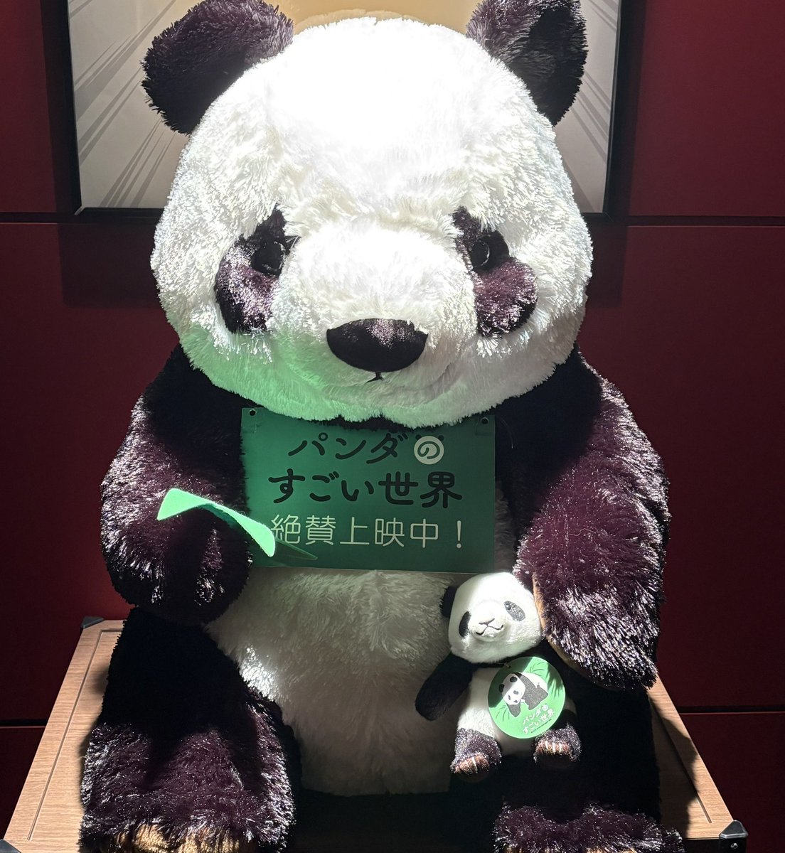 朝用事の前にささっとパンダのすごい世界 字幕版でおかわり。前回より