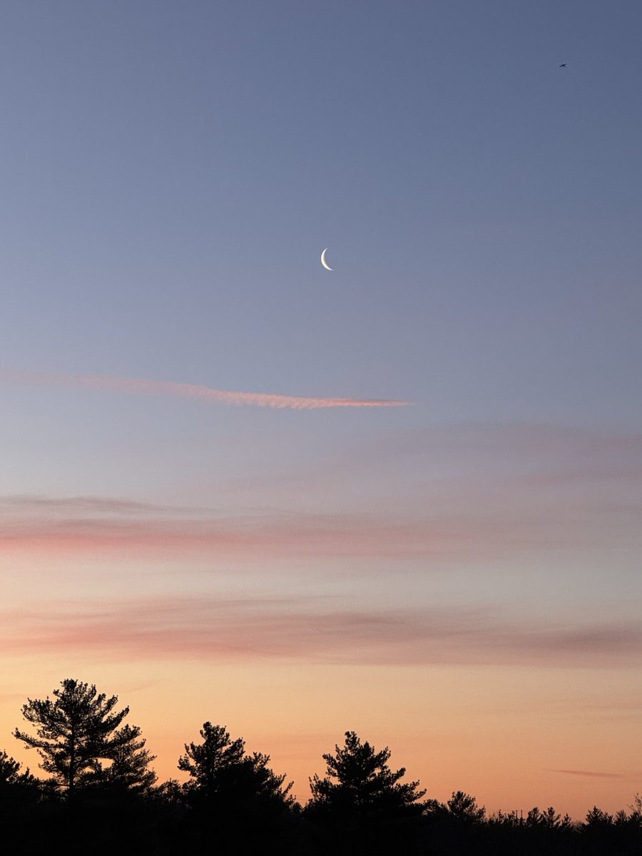 Happy Valentines Day ❤️