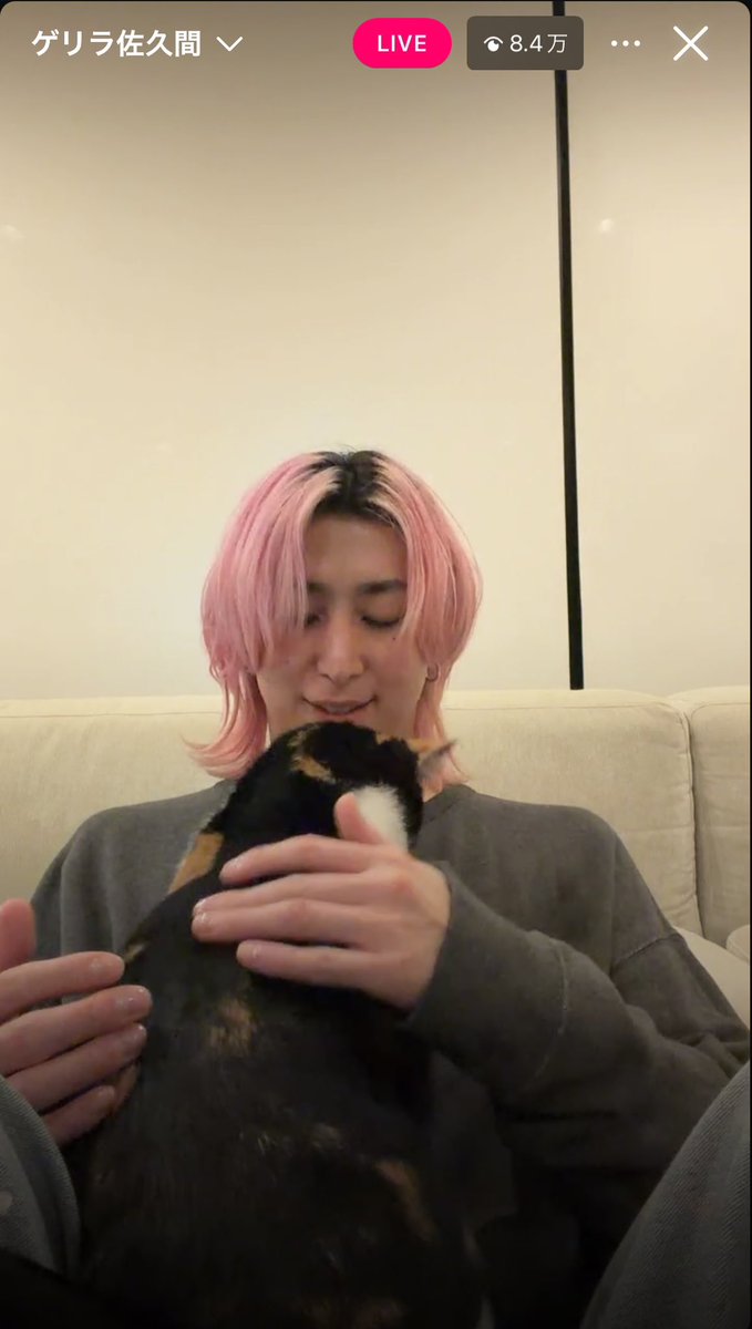 みゆきち みゆきち (@miyubell125) / Posts / X