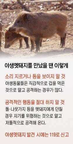 김뷁쒥 tweet media