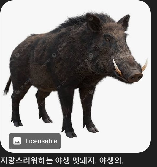 김뷁쒥 tweet media