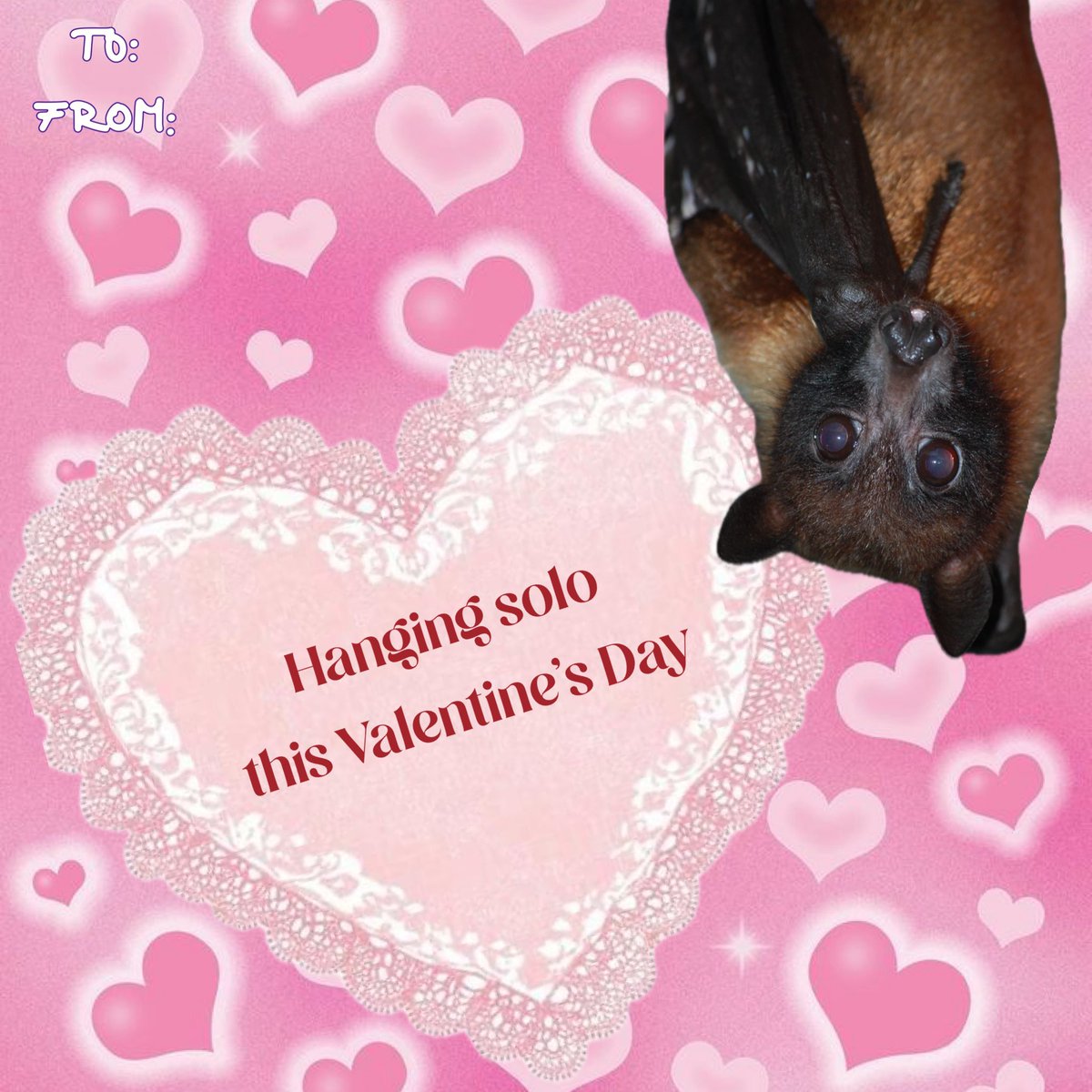metrorhmdzoo's tweet photo. send this to someone you want to go on a zoo date with 💗 💋 https://t.co/03QZwAfPLB