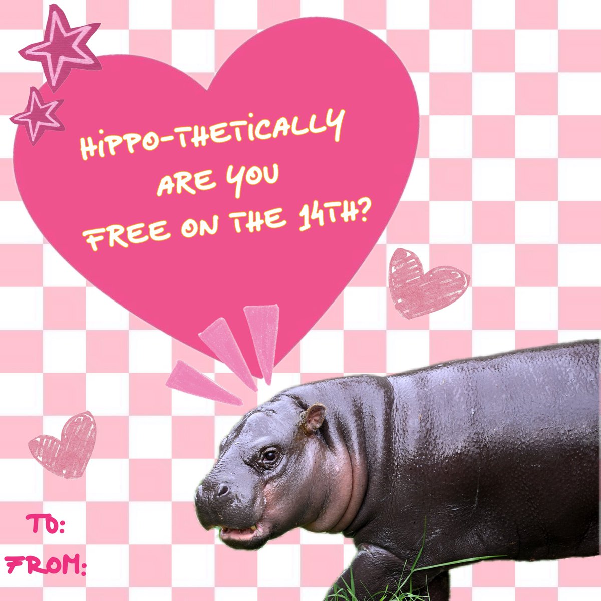 metrorhmdzoo's tweet photo. send this to someone you want to go on a zoo date with 💗 💋 https://t.co/03QZwAfPLB