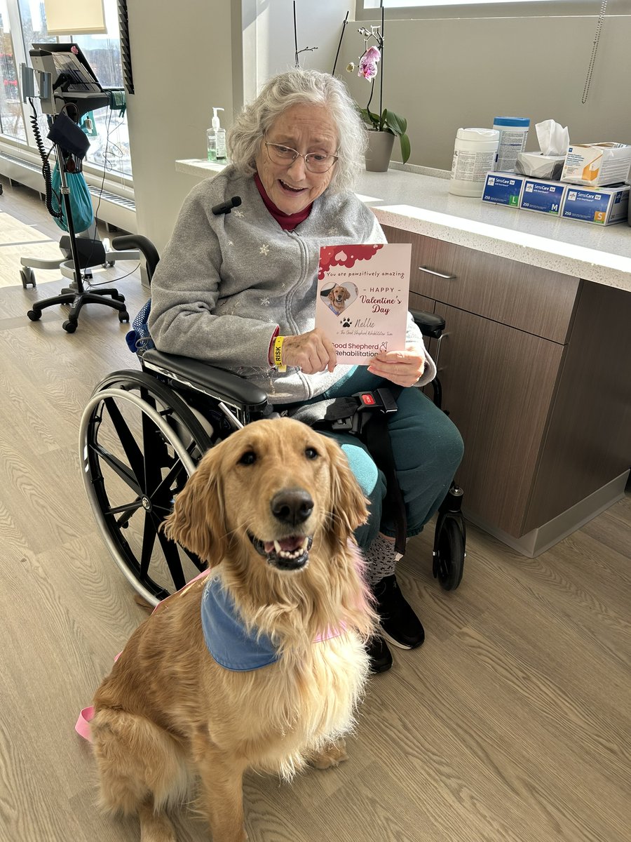 canineorg's tweet image. Happy #valentinesday! 💘 Our #facilitydogs across the country delivered cards and joy to patients, making the day an unforgettable moment.💗     

Share your #vday photos with us in the comments below ⤵️ 

#valentines #love #hospital #LeadWithIndependence
@Mary_Bridge @GSRN