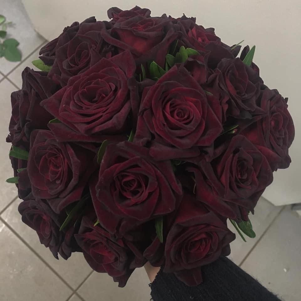warriorudoo's tweet photo. @littlem1sa happy valentines, my beautiful girl! i love you to the moon and back, forever and always 🤍 https://t.co/GibztIbhIr
