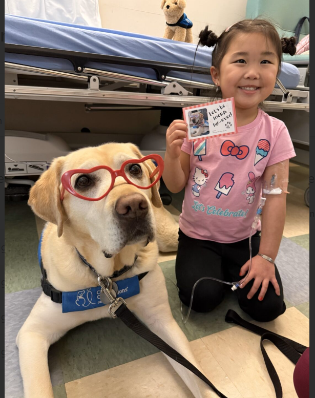 canineorg's tweet image. Happy #valentinesday! 💘 Our #facilitydogs across the country delivered cards and joy to patients, making the day an unforgettable moment.💗     

Share your #vday photos with us in the comments below ⤵️ 

#valentines #love #hospital #LeadWithIndependence
@Mary_Bridge @GSRN