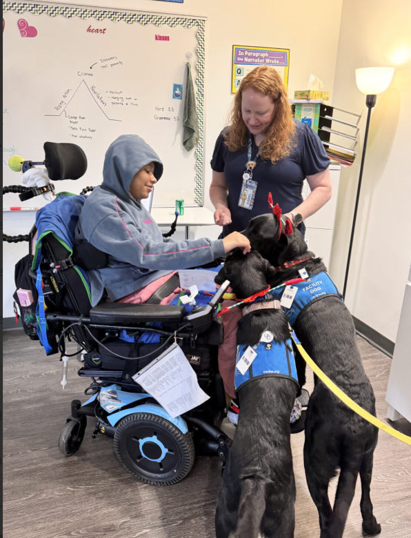 canineorg's tweet image. Happy #valentinesday! 💘 Our #facilitydogs across the country delivered cards and joy to patients, making the day an unforgettable moment.💗     

Share your #vday photos with us in the comments below ⤵️ 

#valentines #love #hospital #LeadWithIndependence
@Mary_Bridge @GSRN