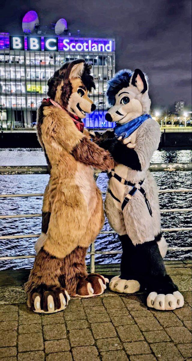 🐾 Grem 🐾 | tweet media