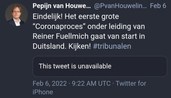 Never forget. In april 2025 werd Fuellmich door een Duitse rechtbank veroordeeld tot 3 jaar en 9 maanden celstraf. Hij werd schuldig bevonden aan het verduisteren van 700.000 euro aan donatiegeld.