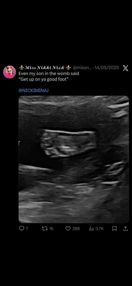 Red Media tweet media