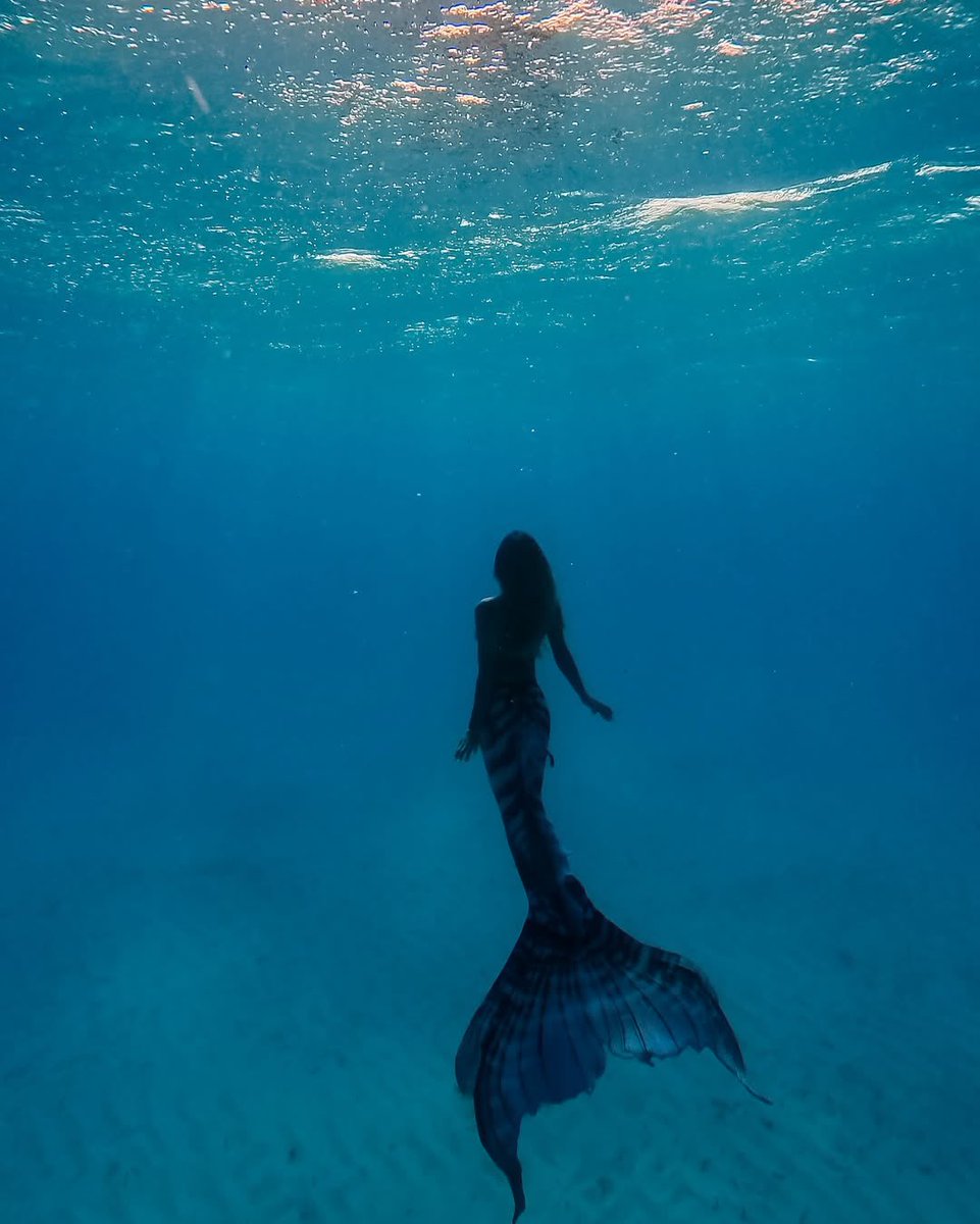 بحر 🌊 (@butterflless) on Twitter photo 