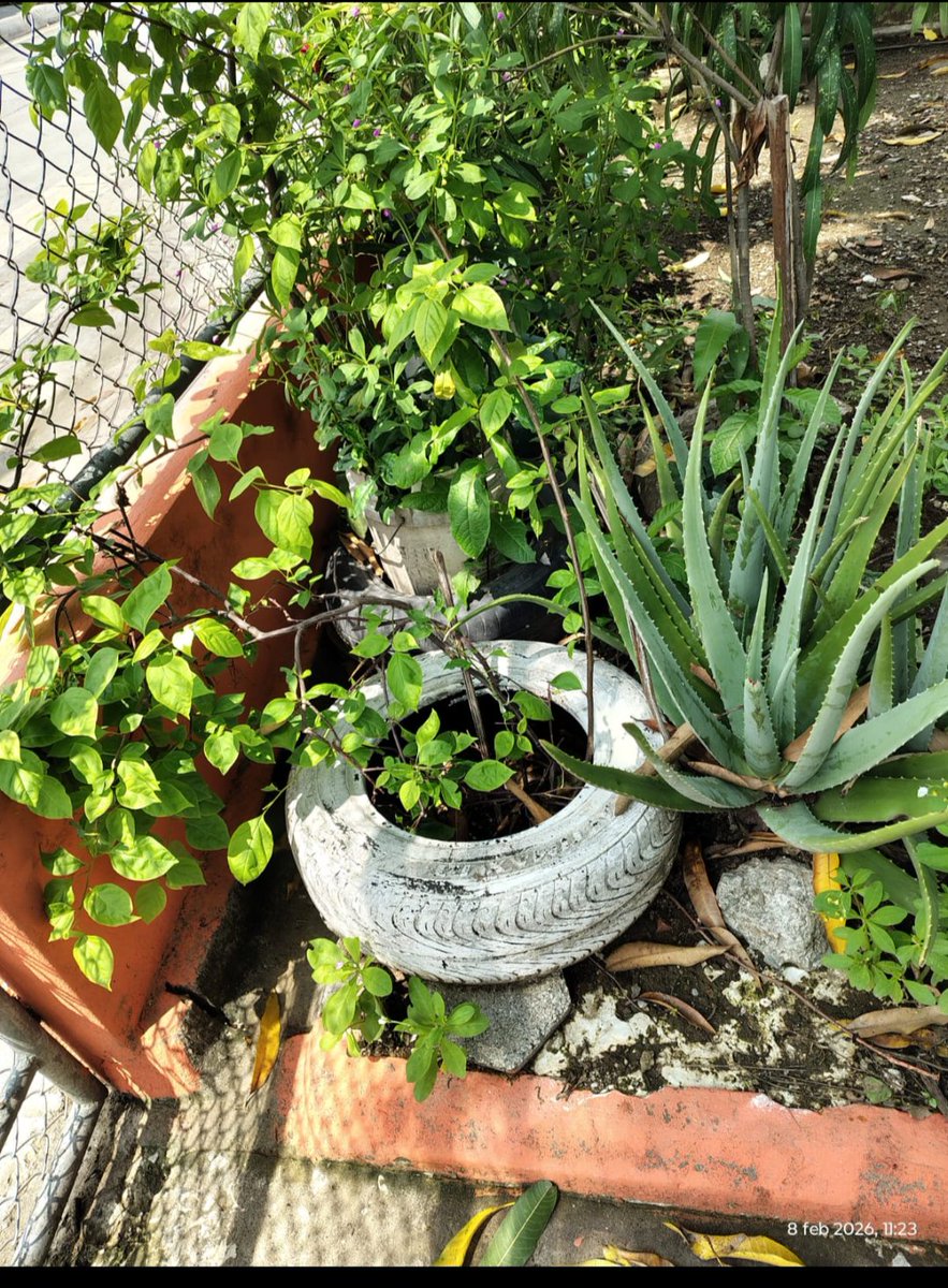 JOHNNIE KALIL tweet media