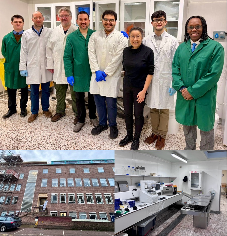 Peter Domos tweet media