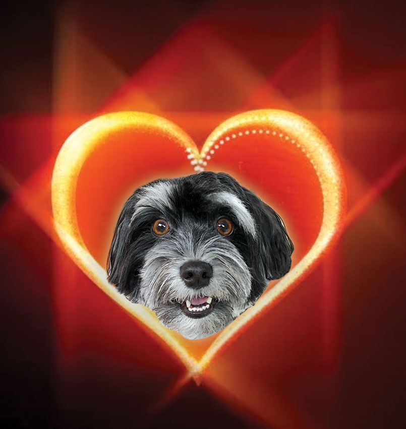 Jacky 🌞 tweet media