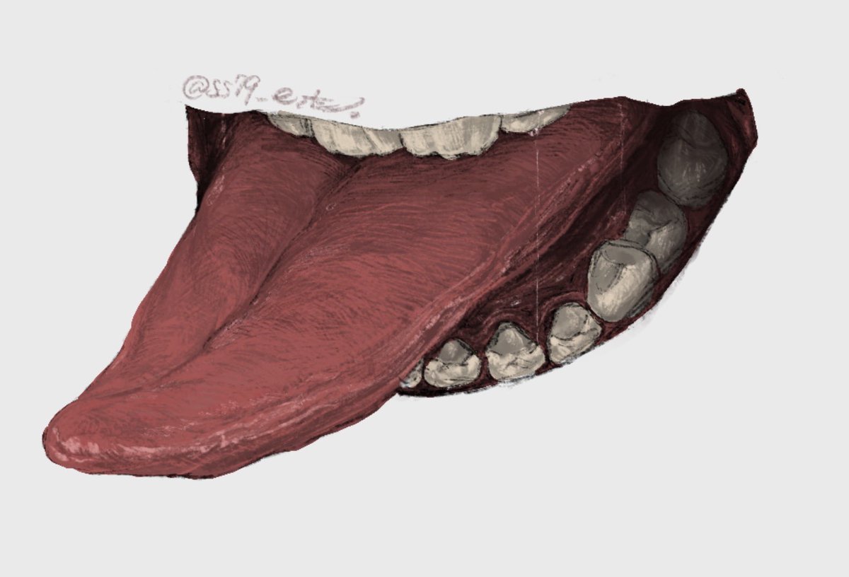 描き方変わったな🔥