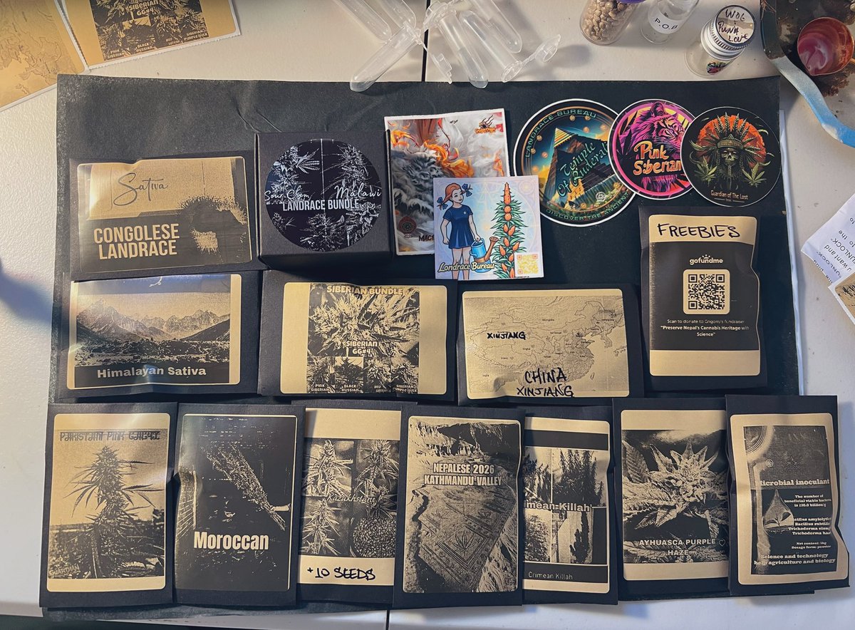 CANNA COLLECTORS tweet media