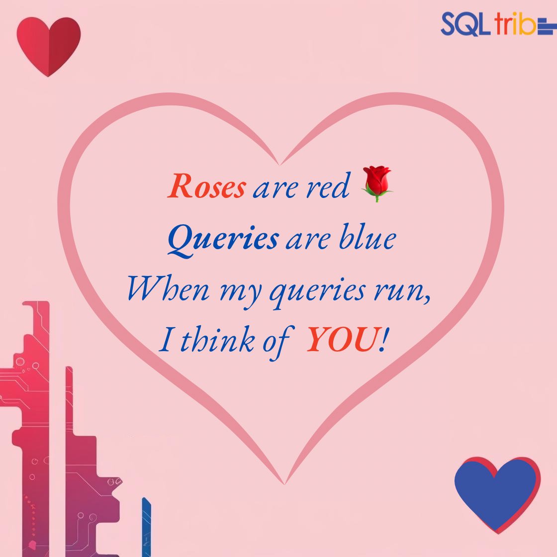 The SQL Tribe tweet media