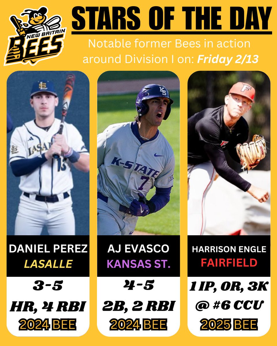 New Britain Bees tweet media