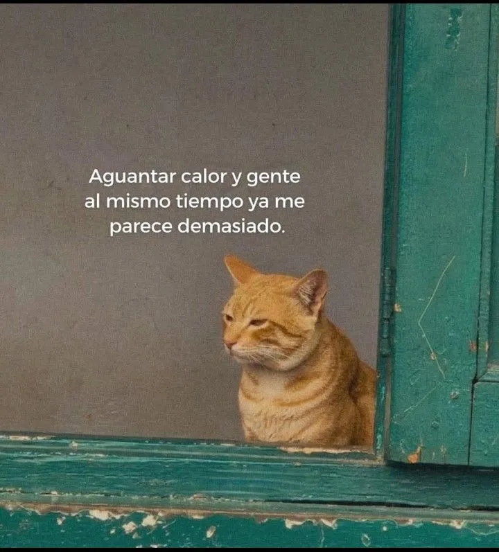 Sobre todo con este calor. 🥲