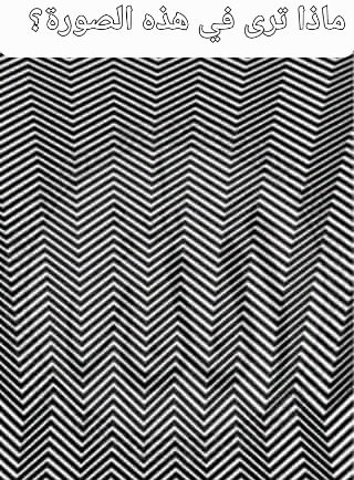 تركي ال إلشيخ tweet media