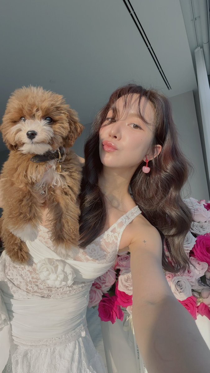 nannirin varokornwatcharakool tweet media