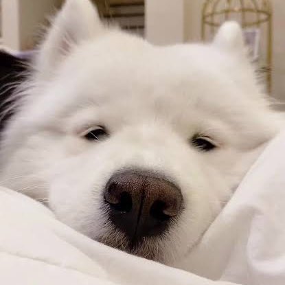 แก้มล้นแย้วค้าบ