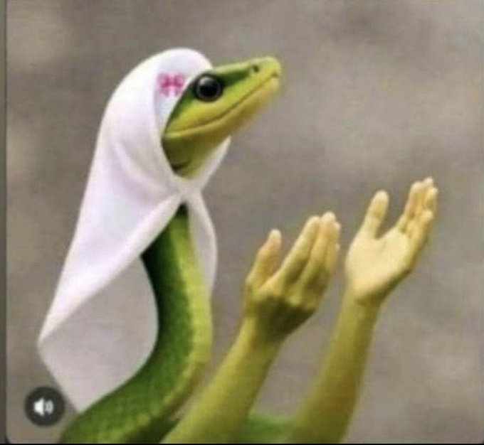 Wanasema kwa Boma ya Njugush beacon ilianza kusongeshwa 2019,,, hapo si ndugu yetu ataiokotea huko sondu miriu. Boychild tunagongewa na both colonizers &amp; collaborators. Assalamualaikum Yesu, sisi wana wako tunakuja mbele zako, angalilia Baba.🥹