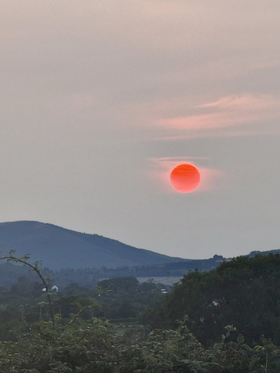 Robert Smith tweet media