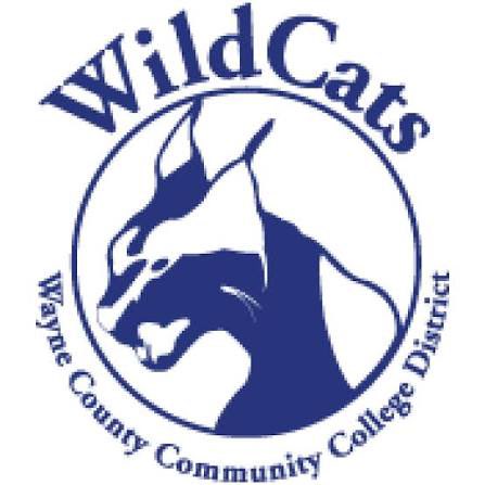 Layla Holbrook tweet media