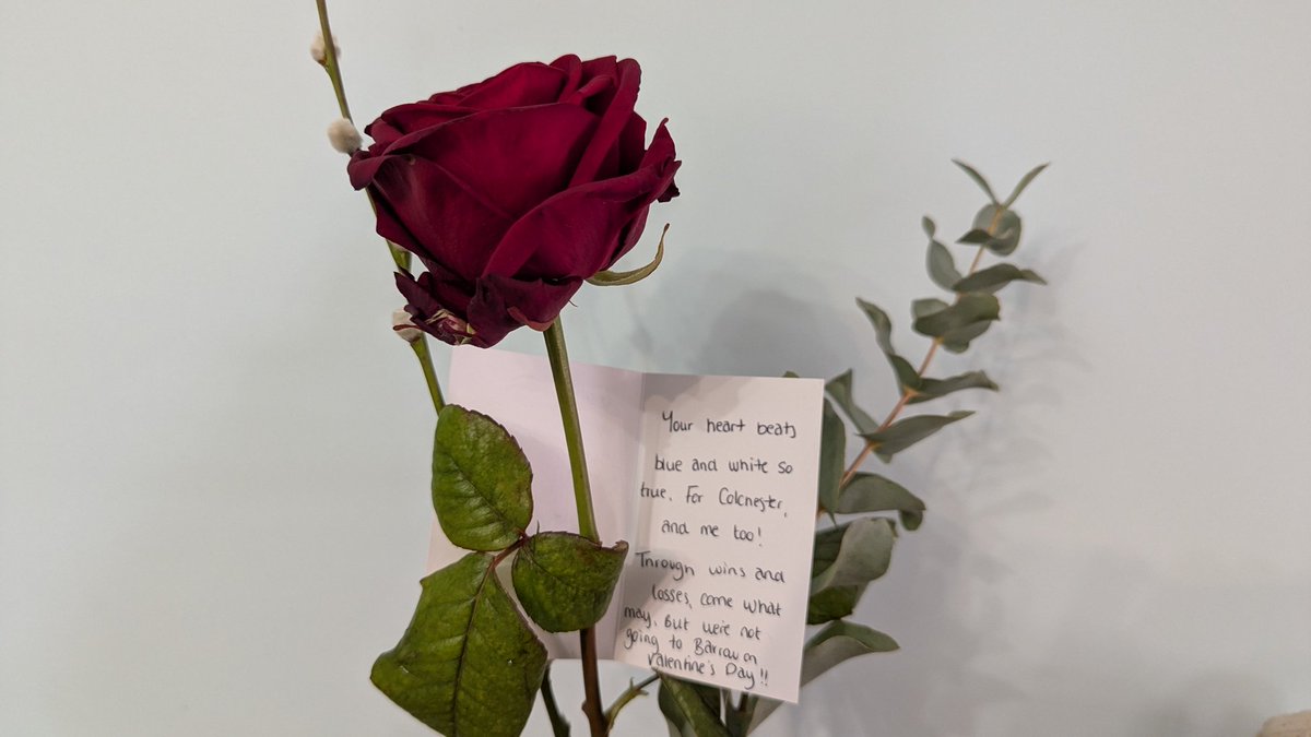 Hetty Carmichael tweet media