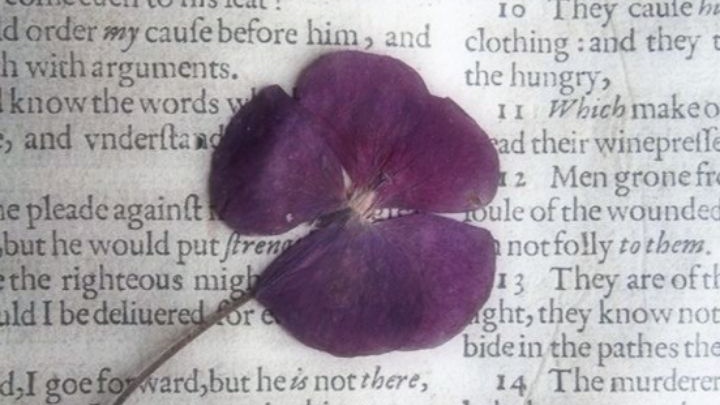 𝑎𝑙𝑒𝑗𝑎𝑛𝑑𝑟𝑎, picka 🐶 tweet media