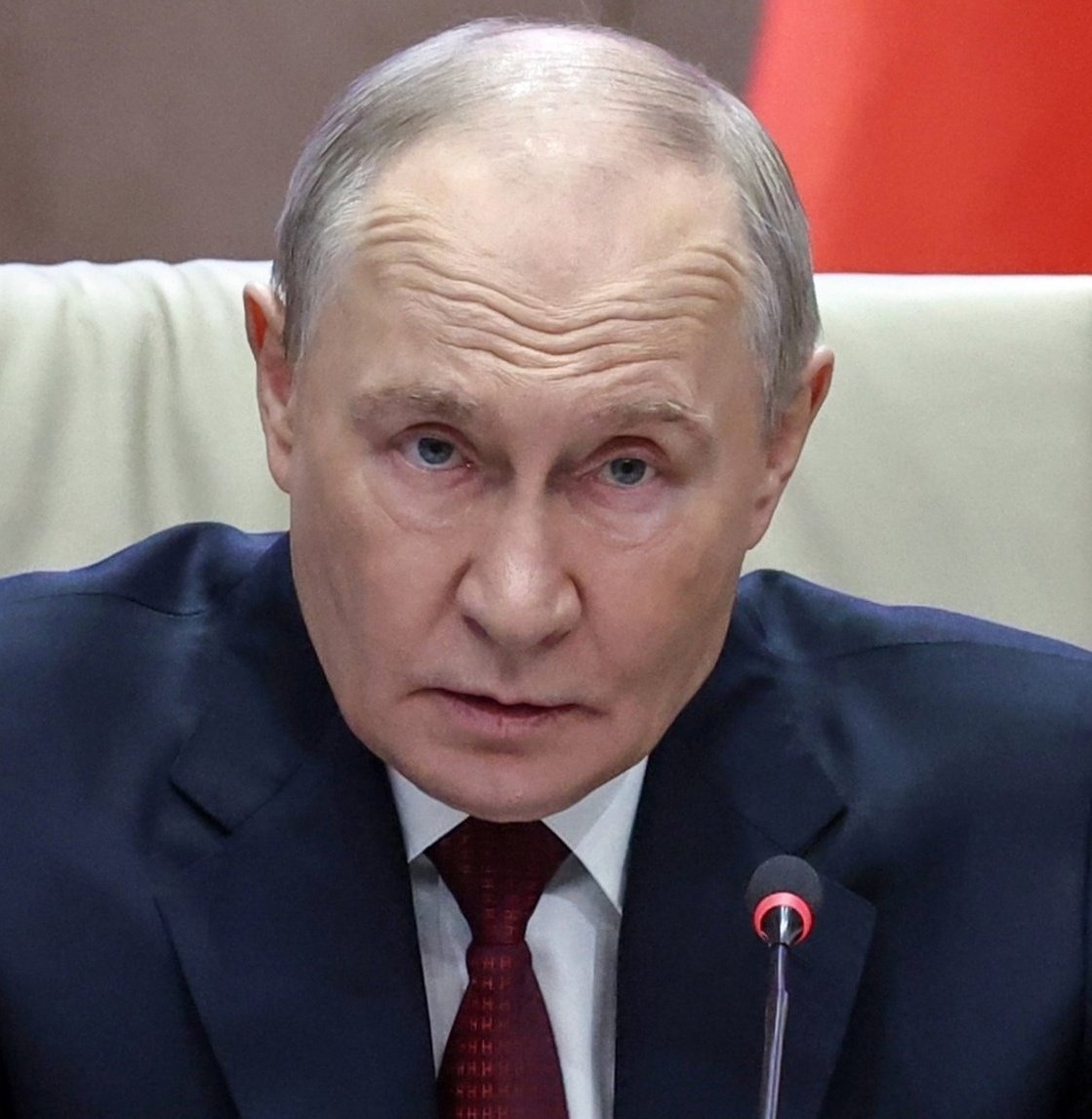 ✦✦✦ 𝙿𝚊𝚖𝚙𝚑𝚕𝚎𝚝𝚜 ✦✦✦ tweet media