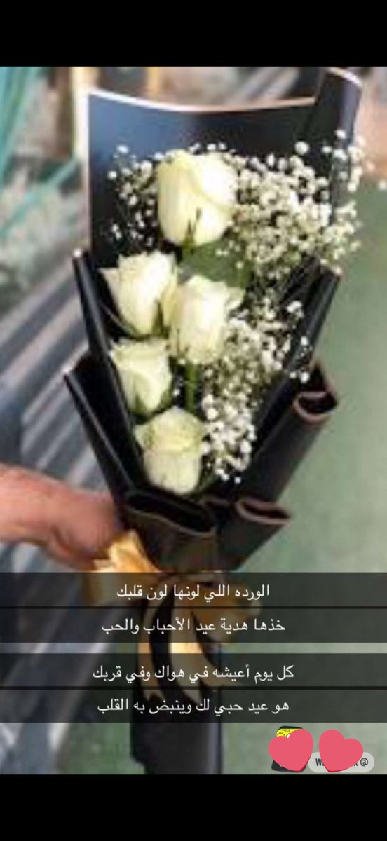 saad bin jaber 📝🎼 tweet media